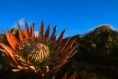 /album/galeria-de-fotos/a15-copia-jpg/
